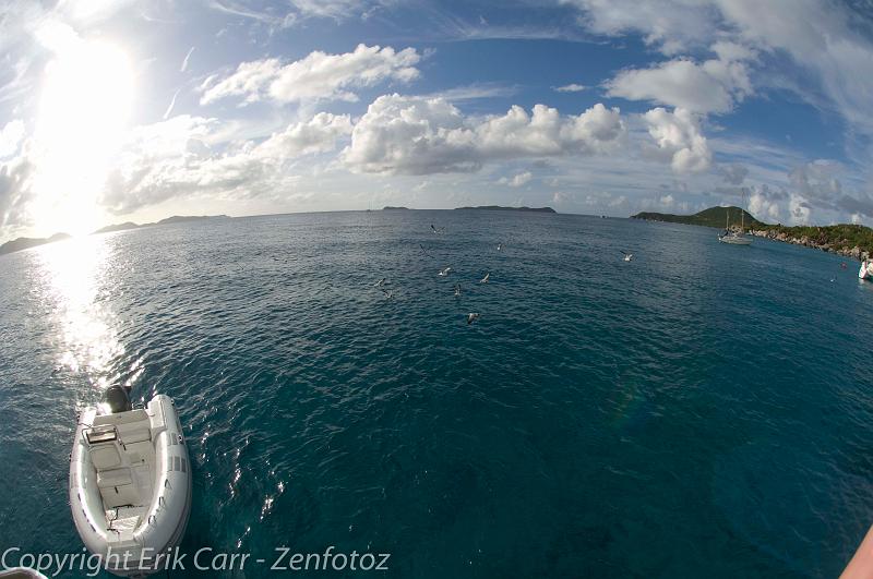 BVI Diving-0148.jpg